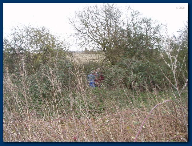 600x449 pixels (191K)